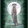 L'Oracle runique des animaux - Pierres de Lumière