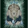 L'Oracle runique des animaux - Pierres de Lumière