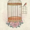 Secrets de sorcières - 46 cartes pour se relier à sa puissance féminine - Pierres de Lumière