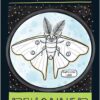 L'Oracle de la Majesté des Prairies - Pierres de Lumière