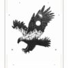 Oracle Messages des animaux : 41 cartes pour recevoir leur guidance et se connecter à la nature - Pierres de Lumière