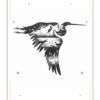 Oracle Messages des animaux : 41 cartes pour recevoir leur guidance et se connecter à la nature - Pierres de Lumière