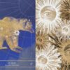 L'oracle des Constellations - Pierres de Lumière