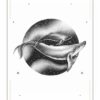 Oracle Messages des animaux : 41 cartes pour recevoir leur guidance et se connecter à la nature - Pierres de Lumière