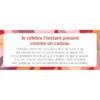 La petite boîte de la pleine conscience du coeur - Pierres de Lumière