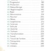 Flammes jumelles, flammes dansantes - Pierres de Lumière
