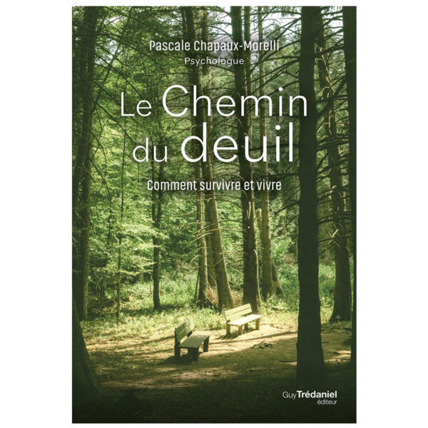 Le chemin du deuil - Comment survivre et vivre - Pierres de Lumière