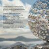 Tout savoir sur l'argent colloïdal - Histoire, techniques de fabrication - Pierres de Lumière