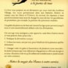 Le Pouvoir des Runes et des Mots Runiques - Pierres de Lumière