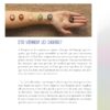 Le Petit Guide des chakras : Énergies - Équilibre - Rituels - Pierres de Lumière