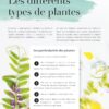 Mon grand guide des plantes médicinales : Tout pour comprendre et utiliser 100 plantes au quotidien - Pierres de Lumière