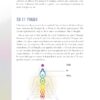 Le Petit Guide des chakras : Énergies - Équilibre - Rituels - Pierres de Lumière