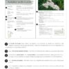 Mon grand guide des plantes médicinales : Tout pour comprendre et utiliser 100 plantes au quotidien - Pierres de Lumière