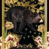 Le Jardin des secrets du Petit Lenormand - Pierres de Lumière