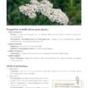 Mon grand guide des plantes médicinales : Tout pour comprendre et utiliser 100 plantes au quotidien - Pierres de Lumière
