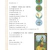 Le petit guide du tarot - Pierres de Lumière