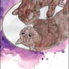 La Voix secrète des animaux - Oracle médiumnique de communication animale - Pierres de Lumière