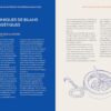 Bilans et techniques de purification énergétique personnelle : Un guide magique pour se nettoyer, se renforcer et se protéger - Pierres de Lumière