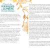 Oracle des guerriers de lumière - Pierres de Lumière