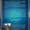Guidance et soins chamaniques avec les runes - Pierres de Lumière