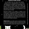 Une vie de magie avec mon chat - Pierres de Lumière