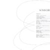 Cercles & Rituels : Explorez la roue des saisons à travers l'astrologie, le tarot et la méditation - Pierres de Lumière