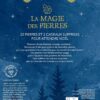 Calendrier de l'Avent - La magie des pierres (coffret) : 22 pierres naturelles et des cadeaux surprises pour attendre Noël - Pierres de Lumière