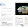 Mon grand guide de lithothérapie : Tout pour comprendre et utiliser les pierres au quotidien - Pierres de Lumière
