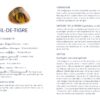 Coffret - Harmoniser mes 7 chakras - Le bien-être par les pierres : Un livre pour s'initier aux chakras et à la lithothérapie, avec 7 pierres naturelles certifiées - Pierres de Lumière