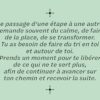Spiritual bag - Confiance : 30 cartes messages pour cheminer vers ta destinée - Pierres de Lumière