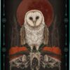 Earth and Bone - cartes oracle - Pierres de Lumière
