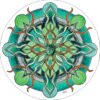 L'Oracle de la voie des runes - Pierres de Lumière