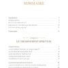 Éveille ton âme - Guide initiatique pour développer son intuition et se connecter à l'Univers - Pierres de Lumière