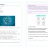Le jeu du Zodiaque : Demandez votre avenir et expérimentez votre puissance cosmique ! - Pierres de Lumière