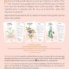 Le Coffret des plantes - Pierres de Lumière