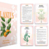 Le Coffret des plantes - Pierres de Lumière