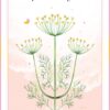 Le Coffret des plantes - Pierres de Lumière
