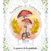 L'Oracle Magick Soul - Magie intérieure, Shadow Work et divination - Pierres de Lumière