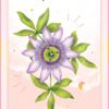 Le Coffret des plantes - Pierres de Lumière