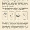 L'Oracle de l'invisible - Pierres de Lumière
