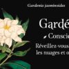 Mon oracle de poche : Langage des fleurs : Laissez la nature vous apporter du réconfort - Pierres de Lumière
