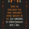 Mon oracle de poche : Witch Magick - Pierres de Lumière
