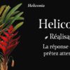 Mon oracle de poche : Langage des fleurs : Laissez la nature vous apporter du réconfort - Pierres de Lumière