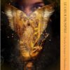 L'oracle de la guérison du coeur - Messages d'amour à votre âme - Pierres de Lumière