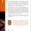 Révélations divines - Sur le chemin de la co-naissance - Canalisations de la nature, des éléments, de la vie et de la source - Pierres de Lumière