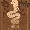 Oracle du chant de la terre - Pierres de Lumière