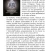 Merkaba - Les Fabuleux Pouvoirs - Utilisation des Merkaba en pierre pour la guérison des chakras - Pierres de Lumière
