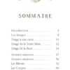Le Tarot de la fille de la terre - Pierres de Lumière