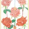 L'Oracle des Roses Médecine - Pierres de Lumière
