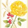 L'Oracle des Roses Médecine - Pierres de Lumière